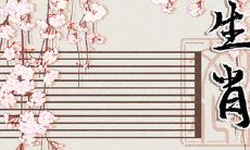 超级聪明的十二生肖之女:智慧非凡又锋芒毕露