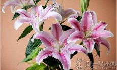 选择跳槽:是否能够带来更多优质机遇与发展空间?