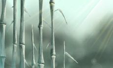 评估你常常表现出智商低下的领域