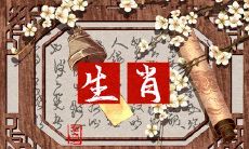 生肖中蓄势待发的命运之路:综合实力强悍、人缘广泛,成就功高名显的注定之选