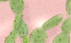 让你透彻了解自我:有趣的测试告诉你如何离世?