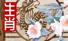 2023年属龙人的第一运程:全面解析和查询个人运势完整版