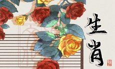 天生拥有优美身材的12个生肖,健康苗条体态更显竞美风采