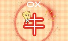 永不妥协:坚守个人观点的生肖与其特质特征