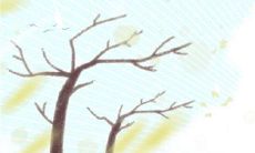 「比较自由恋爱和相亲的优缺点,让你找到最适合你的大好机会」