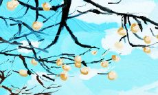 测测你与TA的缘分是否还能继续延续?