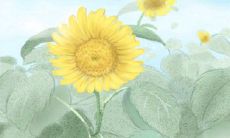 通过此测试,检测您的情绪健康状况并提供专业意见,助您舒缓压力和焦虑情绪,维护身心健康