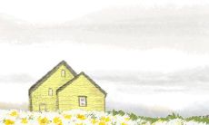 通过这个有趣的测试,看看您是否具有拥有幸运面孔的可能性!