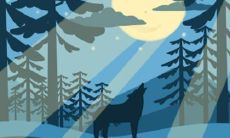 评测你在婚前同居程度方面的能力水平,协助你做出更好的决定