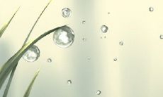 如何在察觉不到的情况下辨别有人偷偷地在心爱着你?