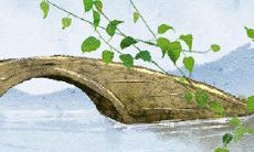 2022年二十四节气日期表:史无前例的中国传统农历时间表,包含24个节气,带您领略每一个季节的变化和生命的轨迹!