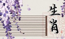 成功男人最欣赏的生肖女:不仅拥有贤惠品质,还具备旺夫必备元素的完美选择