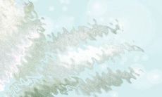 B型血双鱼座:以敏锐和高深的艺术性著称的独特人格类型