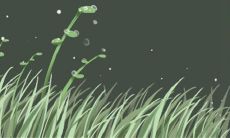 解密摩羯座的感情:究竟会不会随意爱上一个人?