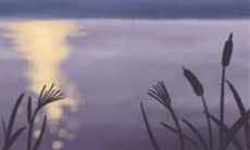 揭晓摩羯座男生喜欢你的15个表现,你是否也感受到了这些信号?