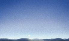 指南:探索狮子座恋爱世界的奥秘,解读狮子座人的爱情观与行为特征