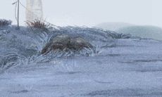 来自占星学的指南:达到幸福生活的12星座必要条件