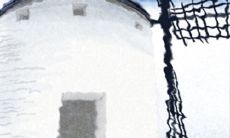 如何运用水瓶座特有的智慧和创意经营美好爱情:一份详尽的指南