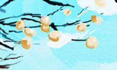 如何在摩羯座的学习上提升兴趣,让学习成为一种乐趣?