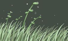 如何通过检验白羊座男女的特质来确保真正的爱情?