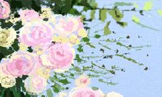 什么样的性格特点具备水象星座的人?