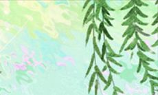 如何避免处女座恋情破产:警钟提醒与应对策略