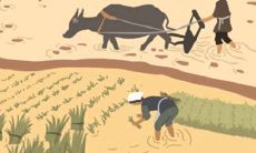 精选送给射手座的励志警句和智慧格言,激励你在人生道路上勇往直前!