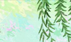 探究天蝎座的恋爱中的“断链”现象:原因、影响及应对策略