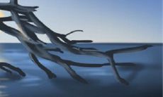 探讨巨蟹座恋爱中的五大不良行为习惯:挑剔、过度情绪化、缺乏沟通能力、难以释放过往的情感包袱以及对爱情过于附着