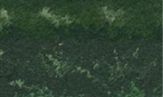 完整版标题:探究白羊座女生背后的各项需求,为你解答:白羊座女生喜欢什么样的男生?