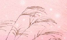 解析双子座男生不幸福的原因:从性格倾向到人际关系种种障碍逐一探究