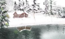 探索2013年12个星座女性的个性幸运石,揭示它们的隐藏力量和独特属性