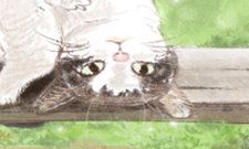 揭晓:2013年适合白羊座女生佩戴的幸运石种类和意义