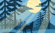 如何选择一份最适合双鱼座定情的礼物?一份最全面的建议与图解!