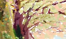 探索金牛座情感特质的超时空旅行:沉着稳健的金牛座时间胶囊