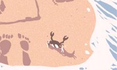 揭示你前世今生秘密的神秘星座密码解析!