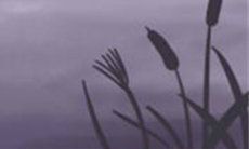 双鱼座最害怕的三种情境和因素,你必须警惕!