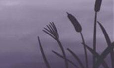 天秤座最害怕的三件事 - 深入探究星座世界中天秤座的敏感心理和恐惧症状