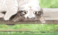 揭示双鱼座前世今生的故事:深入探究双鱼座的神秘性格、情感复杂性,以及内心深处所隐藏的秘密!