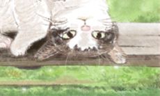 用星座的角度探究巨蟹座深藏的过去和现在