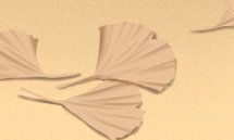 深度探索天秤座神话传说,解开其神秘面纱!