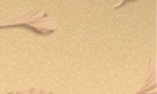 的12种迹象,你是否注意到了?