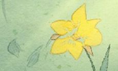 金牛座的沉静个性下,如何察觉并表达不满情绪?