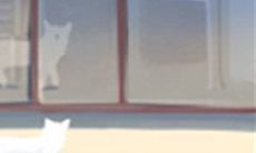 寻找水瓶座的心灵导师:揭秘谁可以成为你的解忧贵人?