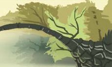 天蝎座最适合终生伴侣的星座列表:你将与这些星座共同度过美好的一生