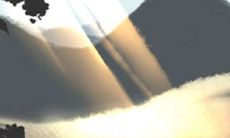 研究表明:巨蟹座掌握的偷懒摸鱼技巧足以引起人类学家关注!