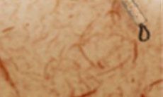 ?他们的行为特点与性格倾向如何体现出他们的控制欲?