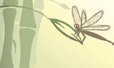 如何帮助处女座个性的人摆脱潜在的心理疾病问题并远离不良情绪影响?