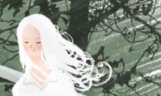 在办公室里,金牛座女性的行为和品性是如何表现的?