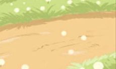 射手座合适与哪些类型的人共同居住?